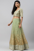 Net Lace Embroidered Sage Green Panelled Style Lehenga