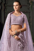 Net Lavender Pink Dori Embroidered Panelled Style Lehenga