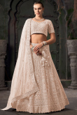 Net Light Peach Dori Embroidered Panelled Style Lehenga 