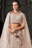 Net Light Peach Dori Embroidered Panelled Style Lehenga 