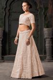 Net Light Peach Dori Embroidered Panelled Style Lehenga 