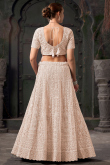 Net Light Peach Dori Embroidered Panelled Style Lehenga 