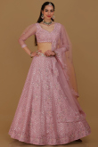 Net Light Pink Dori Embroidered Panelled Style Lehenga 