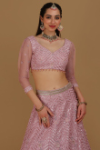 Net Light Pink Dori Embroidered Panelled Style Lehenga 