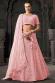 Net Light Pink Dori Embroidered Panelled Style Lehenga Choli
