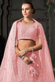 Net Light Pink Dori Embroidered Panelled Style Lehenga Choli