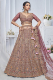 Net Mauve Taupe Resham Embroidered Panelled Style Lehenga 