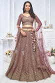 Net Mauve Taupe Resham Embroidered Panelled Style Lehenga 