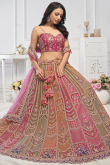 Net Multi Color Resham Embroidered Panelled Style Lehenga