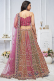 Net Multi Color Resham Embroidered Panelled Style Lehenga