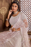 Net Pale Pink Panelled Style Sequins Embroidered Lehenga