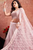 Net Pale Pink Sequins Embroidered Panelled Lehenga 