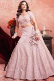 Net Pale Pink Sequins Embroidered Panelled Lehenga 