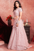Net Pale Pink Sequins Embroidered Panelled Lehenga 