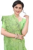 Net Light Green Embroidered Saree