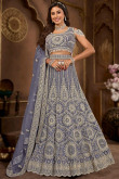 Net Pastel Dark Blue Panelled Style Embroidered Lehenga
