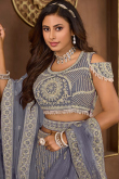 Net Pastel Dark Blue Panelled Style Embroidered Lehenga