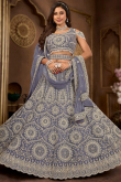 Net Pastel Dark Blue Panelled Style Embroidered Lehenga
