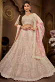 Net Pastel Pink Panelled Style Stone Embellished Lehenga