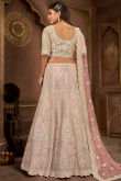 Net Pastel Pink Panelled Style Stone Embellished Lehenga