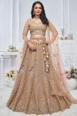 Net Peach Resham Embroidered Panelled Style Lehenga 