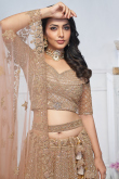 Net Peach Resham Embroidered Panelled Style Lehenga 