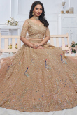 Net Peach Resham Embroidered Panelled Style Lehenga 