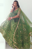 Net Pistachio Green Embroidered Flared Style Lehenga