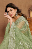 Net Pistachio Green Lace Embroidered Light Weight Saree