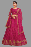 Net Rani Pink Stone Embellished Panelled Style Lehenga