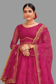 Net Rani Pink Stone Embellished Panelled Style Lehenga