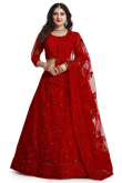 Net Red Stone Embellished Panelled Style Lehenga