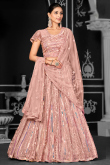 Net Salmon Peach Embroidered Flared Lehenga