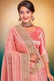 Net Salmon Pink Lace Embroidered Light Weight Saree