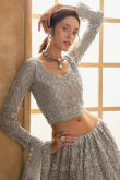 Net Stone Embellished Light Grey Panelled Style Lehenga
