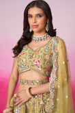 Net Trombone Yellow Embroidered Panelled Style Lehenga 