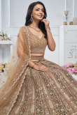 Net Zari Embroidered Multi Color Panelled Style Lehenga 