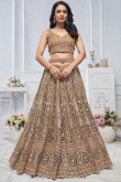 Net Zari Embroidered Multi Color Panelled Style Lehenga 