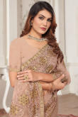 Net Zari Embroidered Oat Beige Light Weight Saree