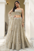 Oat Beige Net Embroidered A-Line Lehenga