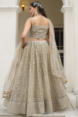 Oat Beige Net Embroidered A-Line Lehenga