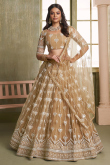 Oat Beige Net Embroidered Flared Style Lehenga 