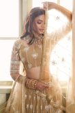 Oat Beige Net Embroidered Flared Style Lehenga 