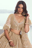 Oat Beige Net Embroidered Flared Style Lehenga 