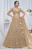 Oat Beige Net Resham Embroidered Panelled Style Lehenga 