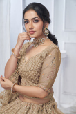 Oat Beige Net Resham Embroidered Panelled Style Lehenga 
