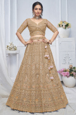 Oat Beige Net Resham Embroidered Panelled Style Lehenga 
