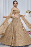 Oat Beige Net Resham Embroidered Panelled Style Lehenga 