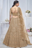 Oat Beige Net Resham Embroidered Panelled Style Lehenga 