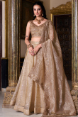Oat Beige Tissue Lehenga with Embroidered Blouse